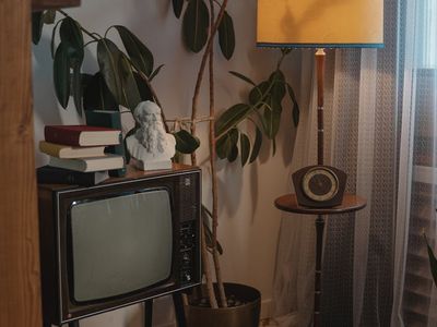 A small plant in a pot in the corner of a calm room.
